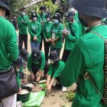 Sekolah Lapangan Petani Gambut, Memanfaatkan Sekaligus Merestorasi